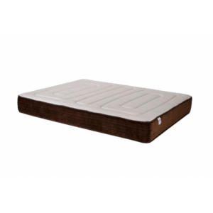 4E1A5734-bahia_-removebg-preview