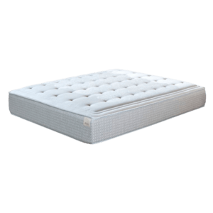 Natural_Art-removebg-preview