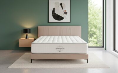 OFERTAS BLACK FRIDAY 2025